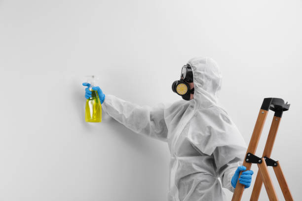 Best Mold Prevention Services  in Holley, FL